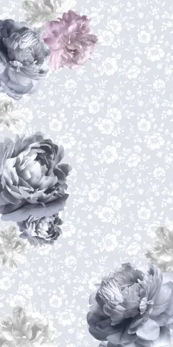 белые, серые, растения, пионы, розовые, цветы