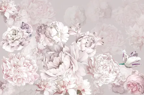 пионы, лепестки, розы, цветы, нежность, листья, растения