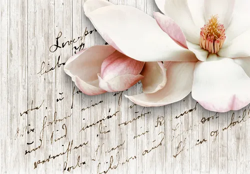 белые, розовые, надпись, магнолия, деревянный фон, дерево, фразы, цветы