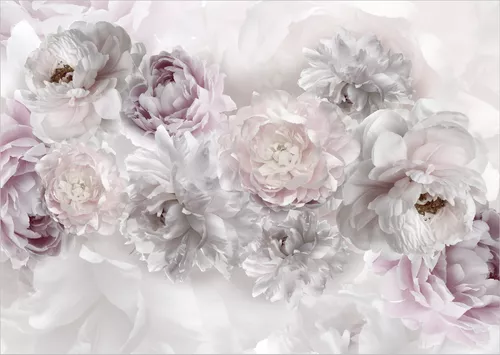 серые, пионы, белые, бутоны, бежевые, цветы, розовые