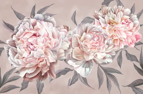 пионы, розы, цветы, лепестки, растения