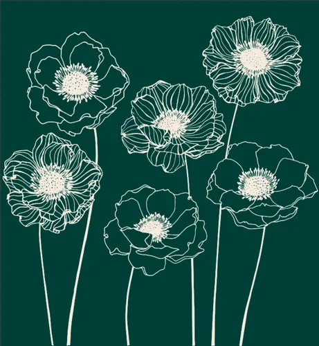 цветы, минимализм, линии