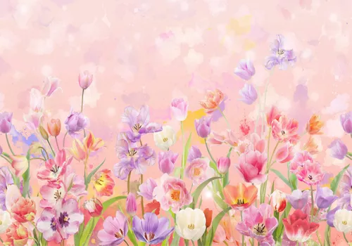 цветочная поляна, розовые, цветы, луг, разноцветные, луговые цветы, цветы на розовом фоне