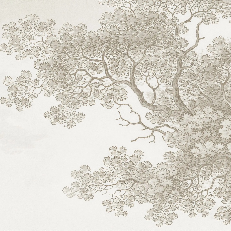 Арт-обои - пейзаж, графика, природа, бежевый лес, графический пейзаж, нежный лес на стену, в бежевом цвете, бежевые, изящная фреска, красивая в гостиную, на стену лес, туманный лес, лес в тумане, лес в интерьере, красивый лес