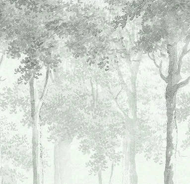 Арт-обои - пейзаж, светлые деревья, зеленые, бирюзовые, лес, лес в тумане, новинки