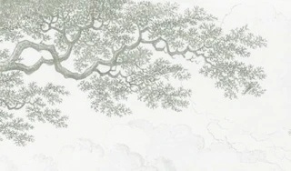 Арт-обои - пейзаж, популярные, серо-зеленая, деревья, светлые деревья, деревья в лесу, лес, мостик, река