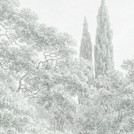 Арт-обои - пейзаж, лес, светлый лес, современные, деревья в лесу