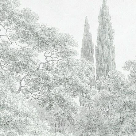 Арт-обои - пейзаж, лес, светлый лес, современные, деревья в лесу