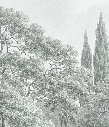 Арт-обои - пейзаж, лес, серо-зеленая, светлый лес, современные, деревья в лесу