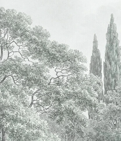 Арт-обои - пейзаж, лес, серо-зеленая, светлый лес, современные, деревья в лесу