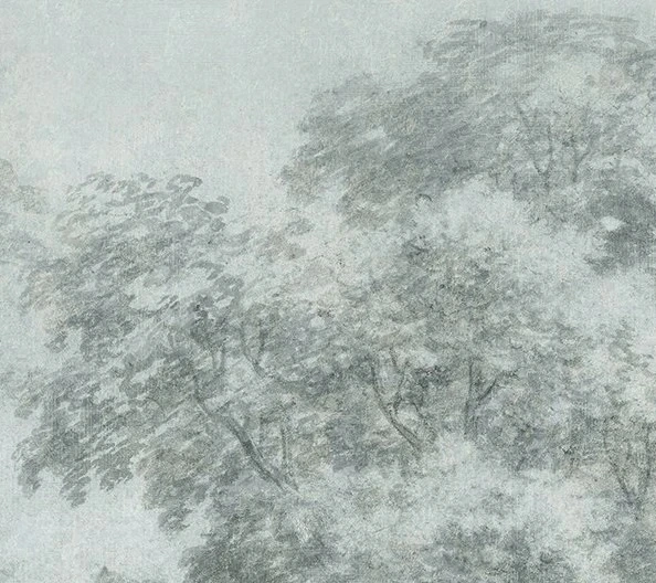 Арт-обои - пейзаж, лес, деревья, зеленая