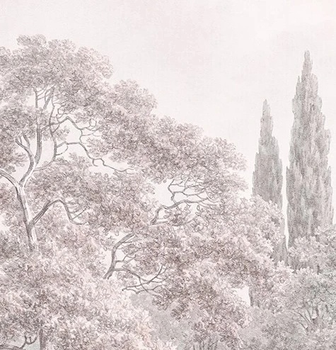 Арт-обои - пейзаж, лес, бежевые, бежевый лес, серый лес, светлые деревья, деревья в лесу, светлый пейзаж