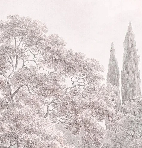 Арт-обои - пейзаж, лес, бежевые, бежевый лес, серый лес, светлые деревья, деревья в лесу, светлый пейзаж, новинки