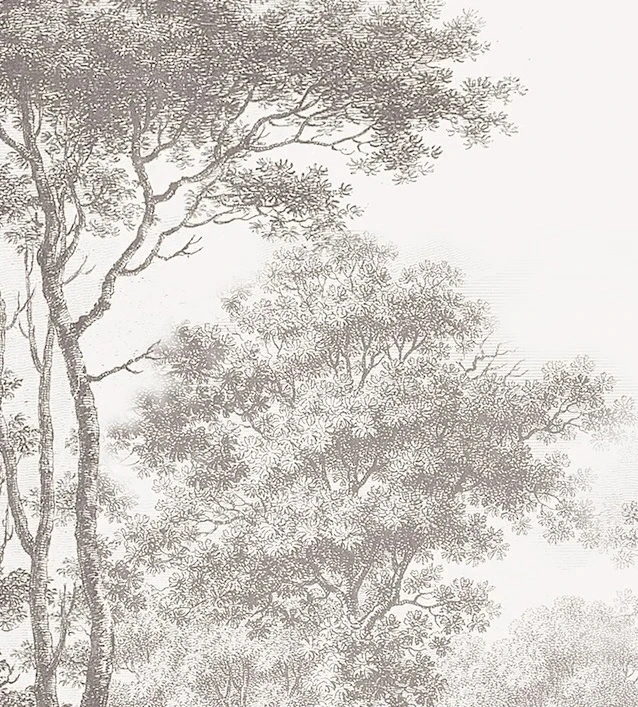 Арт-обои - пейзаж, графика, гравюра, лес, деревья, бежевые, в коридор, в прихожую, в загородный дом, новинки