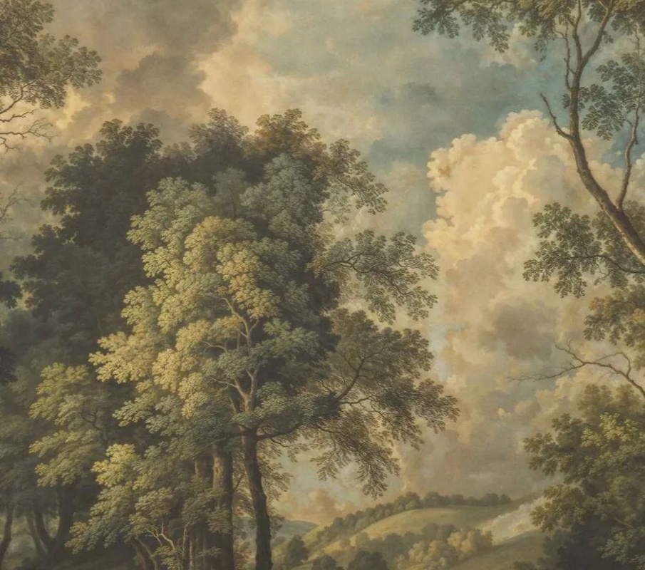 Арт-обои - пейзаж, обои лес, темный лес обои, живые обои лес, обои зеленый лес, обои природа лес, красивый пейзаж на обои, обои пейзаж качество, обои  живописные