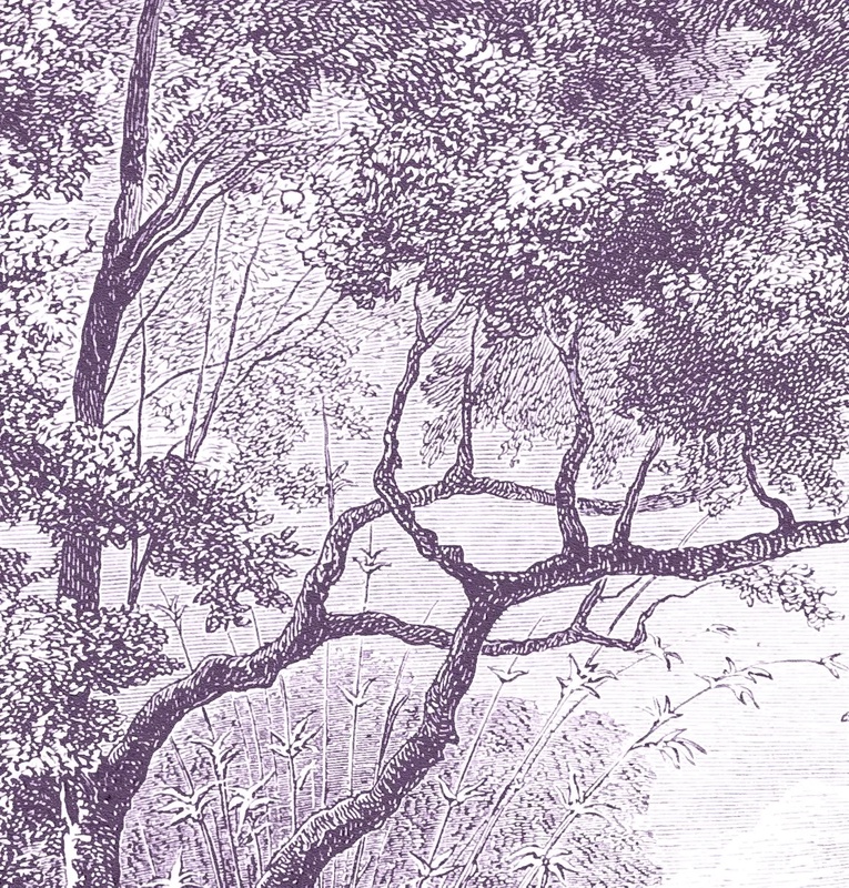 Арт-обои - обои гравюра, лес, пейзаж, олени, река