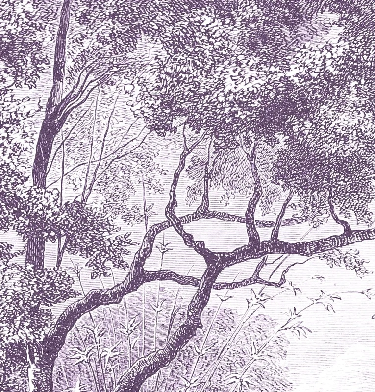 Арт-обои - обои гравюра, лес, пейзаж, олени, река, фиолетовые обои лес