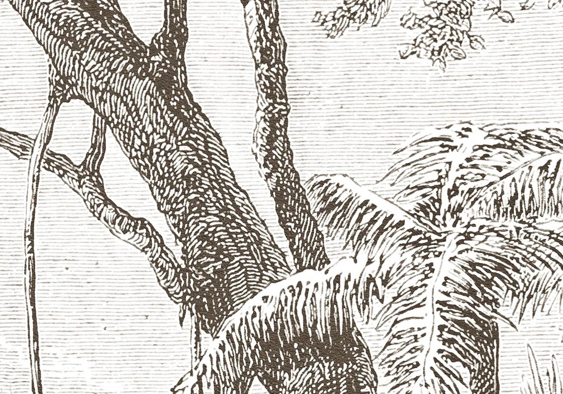 Арт-обои - пейзаж, графика, гравюра, обои гравюра, олени, лес, коричневые