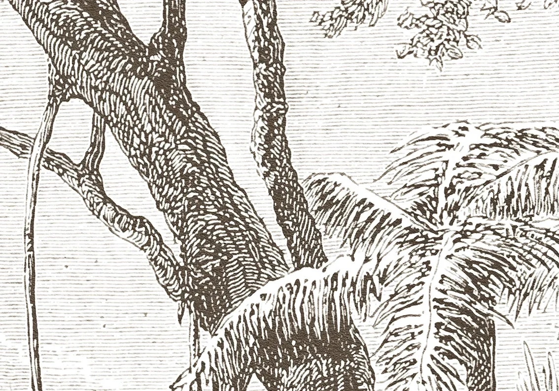 Арт-обои - пейзаж, графика, популярные, гравюра, обои гравюра, олени, лес, коричневые