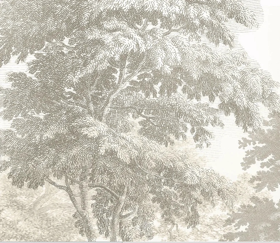 Арт-обои - пейзаж, бежевые, бежевая, лес, красивый пейзаж, пейзаж качество, обои светло бежевые, обои под бежевую, туманный лес, лес в тумане