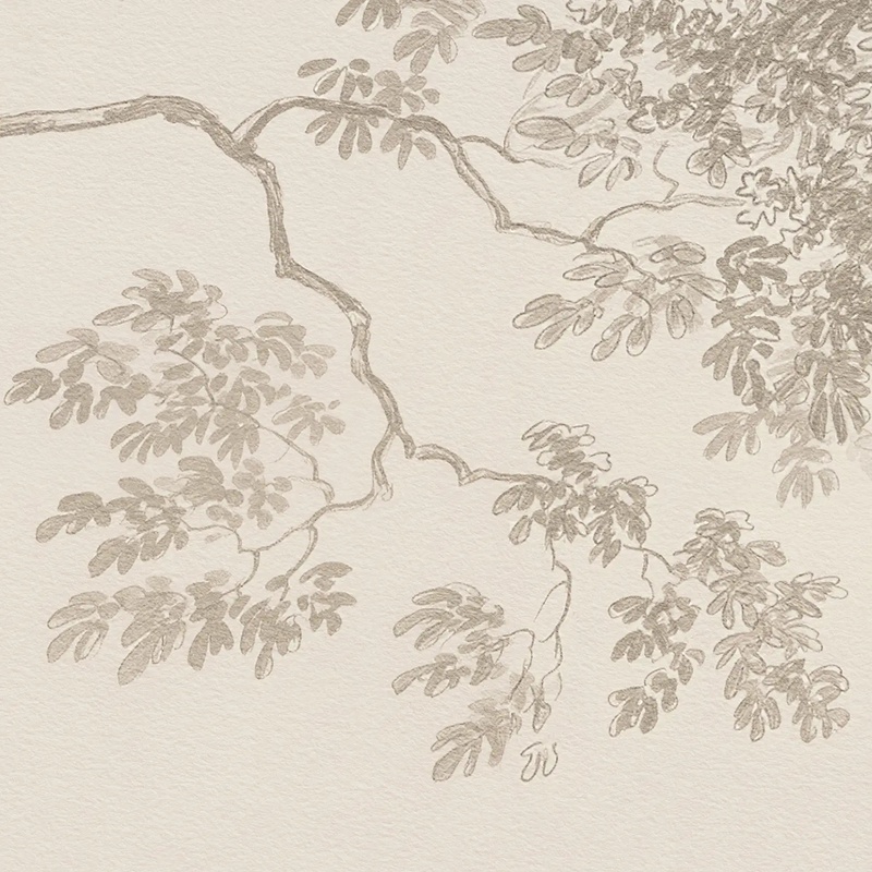 Арт-обои - пейзаж, лес, бежевые, серый лес, на стену пейзаж, бежевый лес, деревья, пейзаж обои, обои пейзажи качество, красивый пейзаж на обои, в коридор, в прихожую