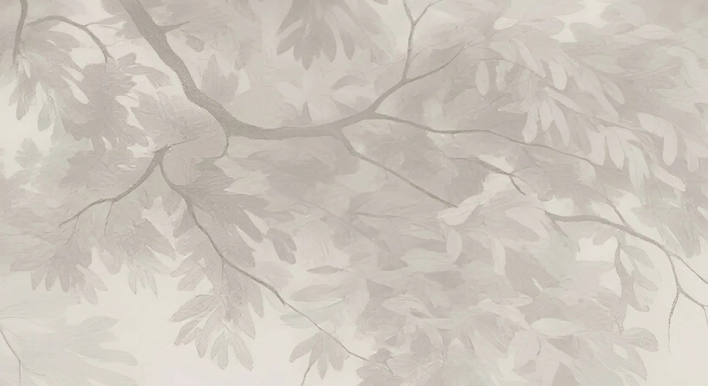 Арт-обои - пейзаж, на стену пейзаж, лес в тумане, на стену лес в тумане, бежевый лес, обои серый лес, обои лес бежевые, новинки