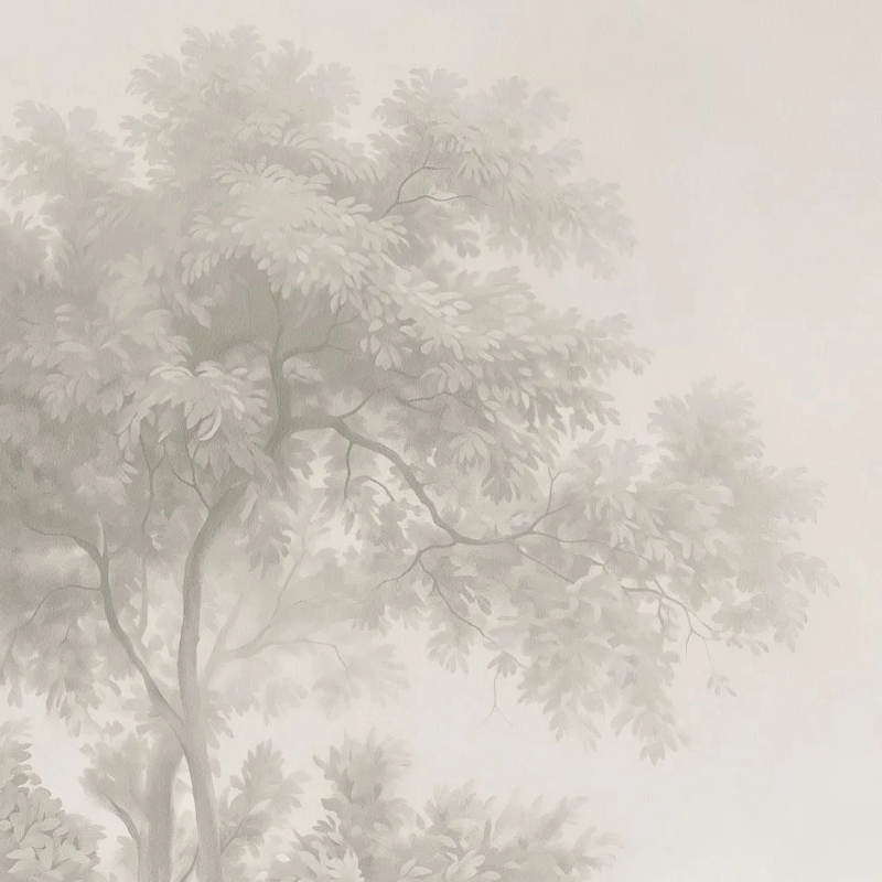Арт-обои - пейзаж, на стену пейзаж, лес в тумане, на стену лес в тумане, бежевый лес, обои серый лес, обои лес бежевые, новинки, в коридор, в спальню