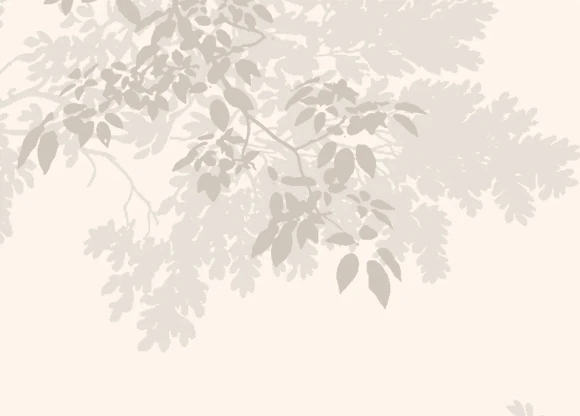 Арт-обои - графика, бежевые, ветки, листья, листья на стену, с ветками, с ветками деревьев, листья ветки