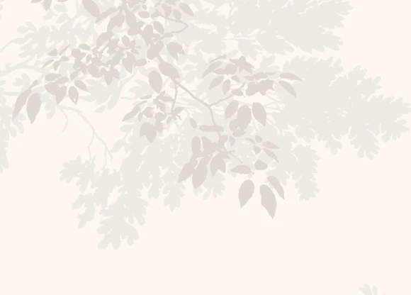 Арт-обои - графика, бежевые, ветки, листья, листья на стену, с ветками, с листьями, светлые