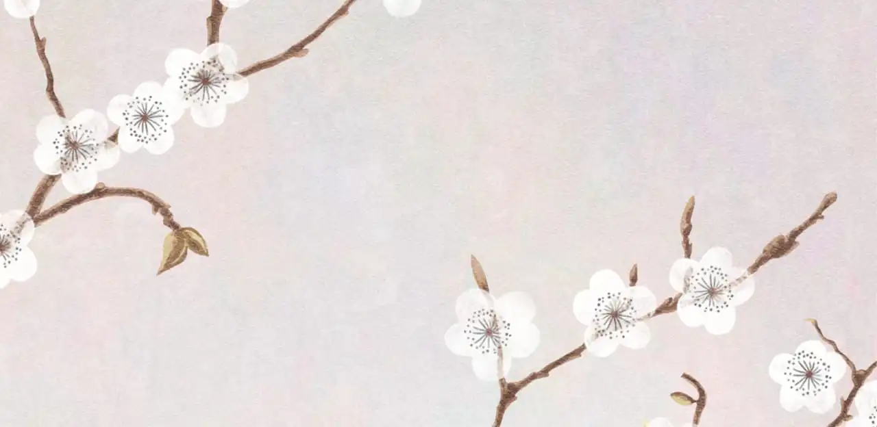 Арт-обои - цветы, сакура, белая, ветки сакуры, на пудровом фоне