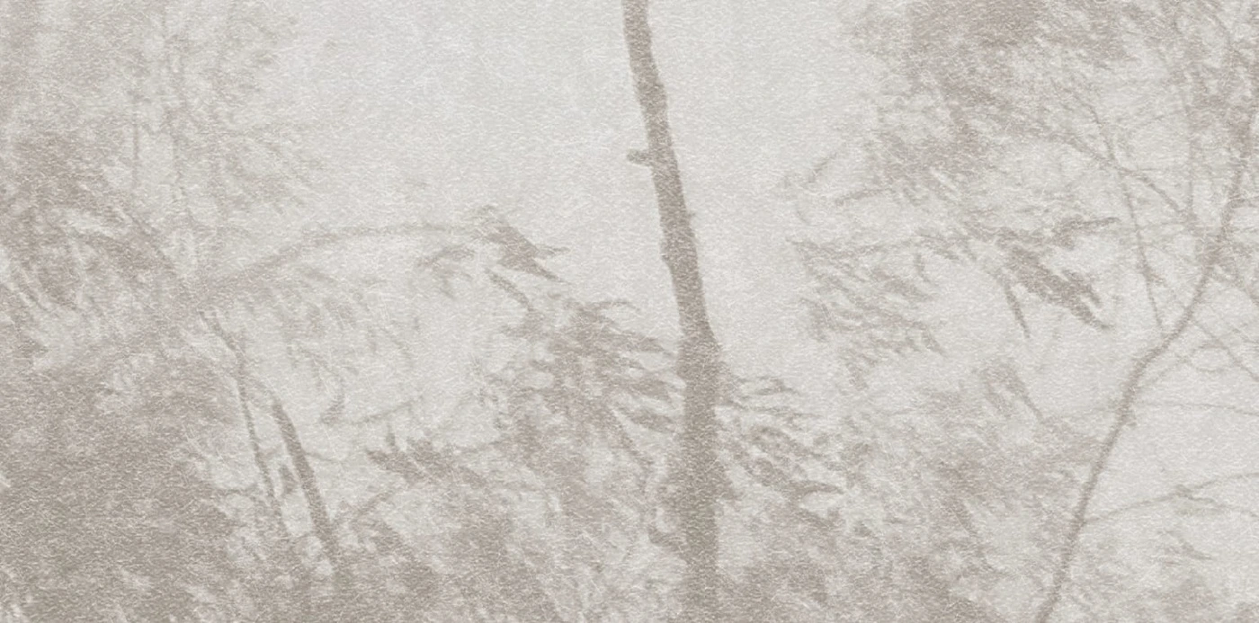 Арт-обои - современные, лес в тумане, серо бежевые, ветки