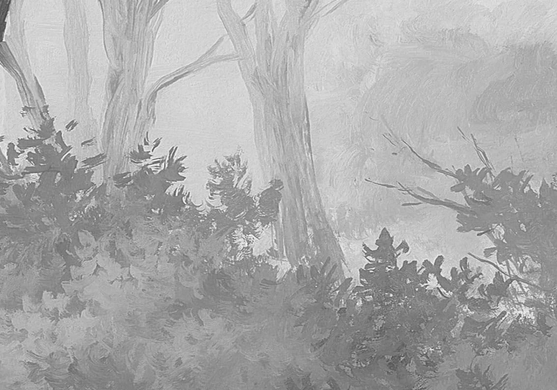 Арт-обои - пейзаж, деревья, черно-белые, 3д, лес