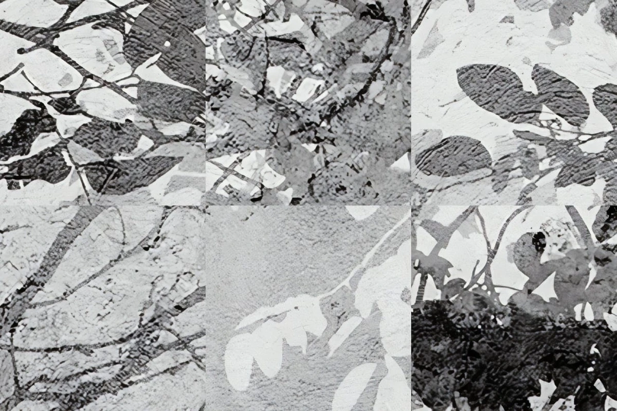 Арт-обои - современные, ветки, черно-белые