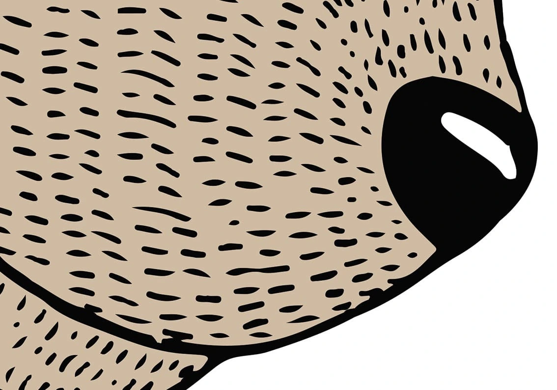 Арт-обои - наши работы, медведь, зайчик, коричневые, детские