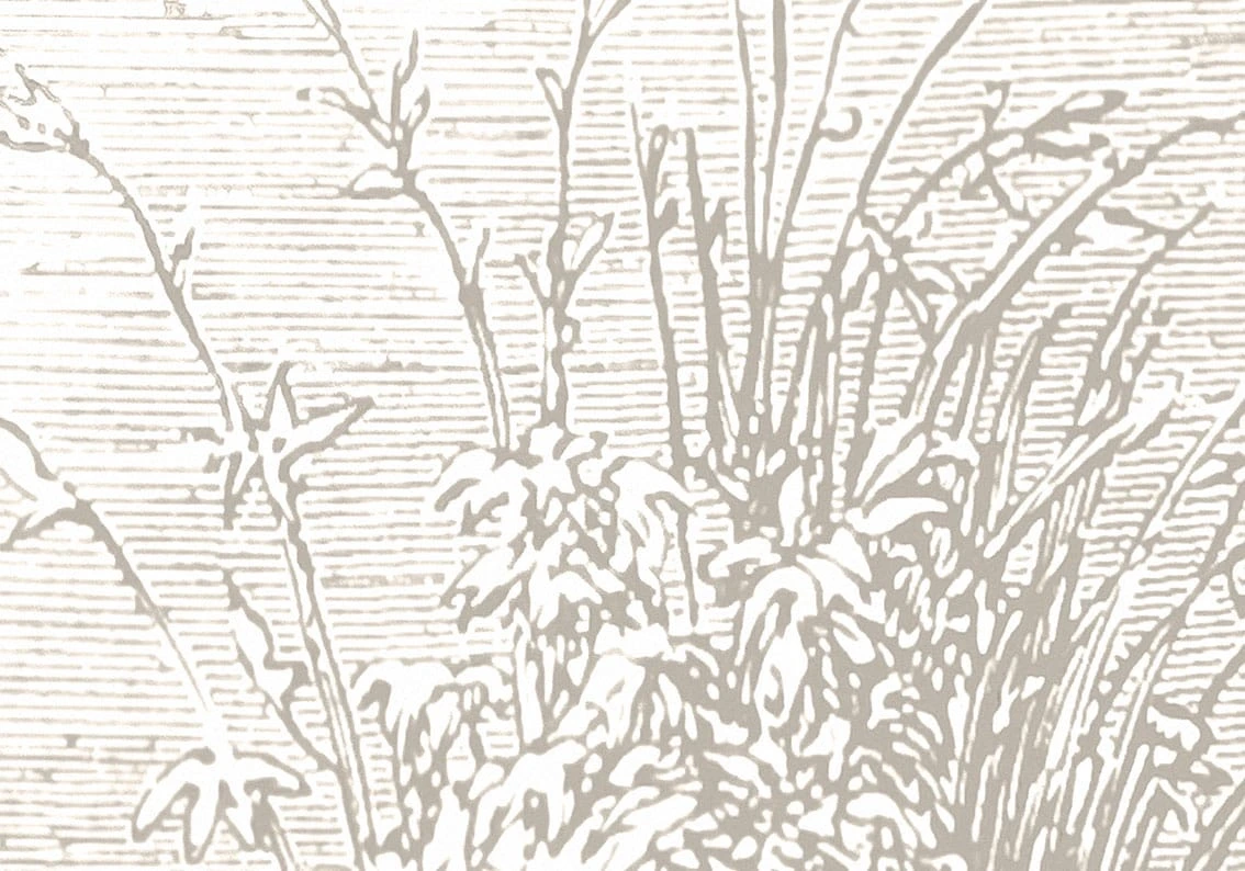 Арт-обои - лес, бежевые, деревья, популярные, в тумане, графика, озеро, парк, пейзаж