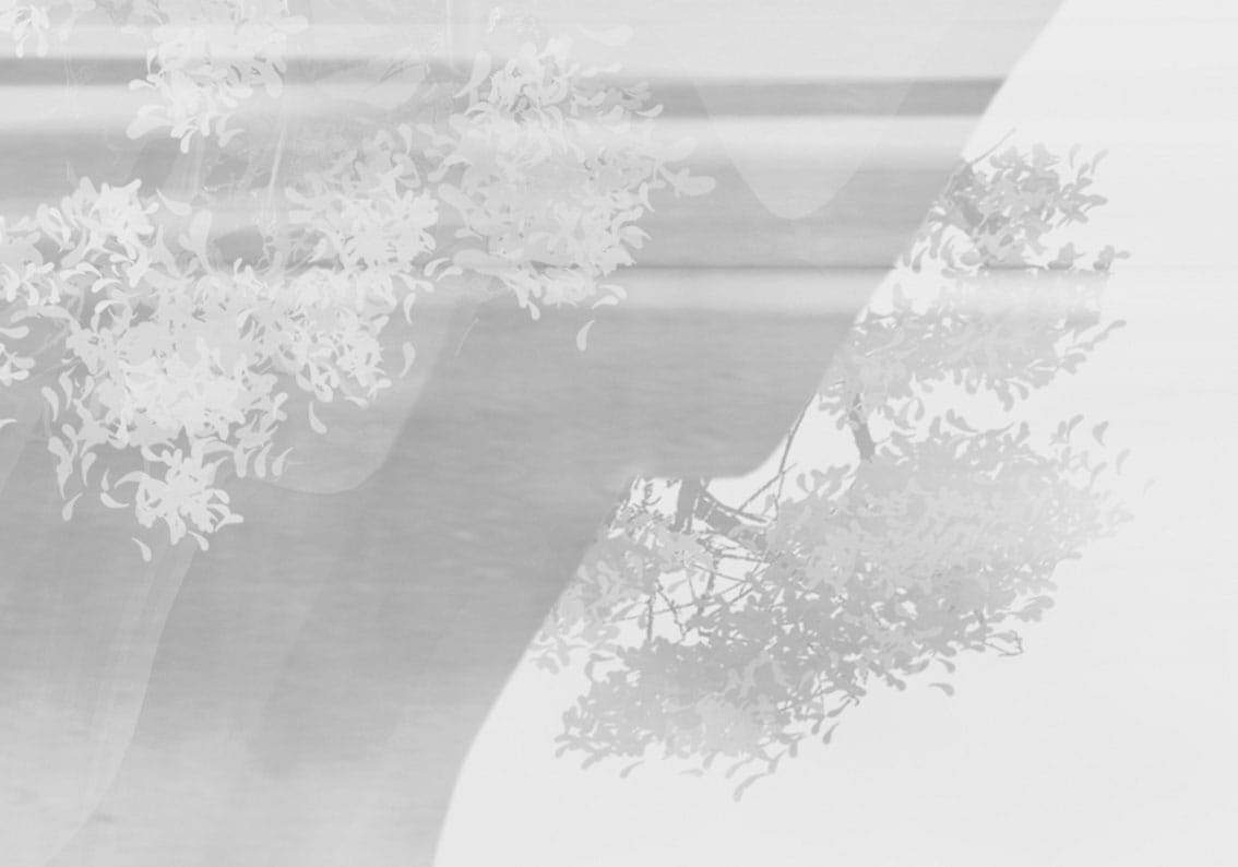 Арт-обои - графика, черно-белые, японские, китайские, горы