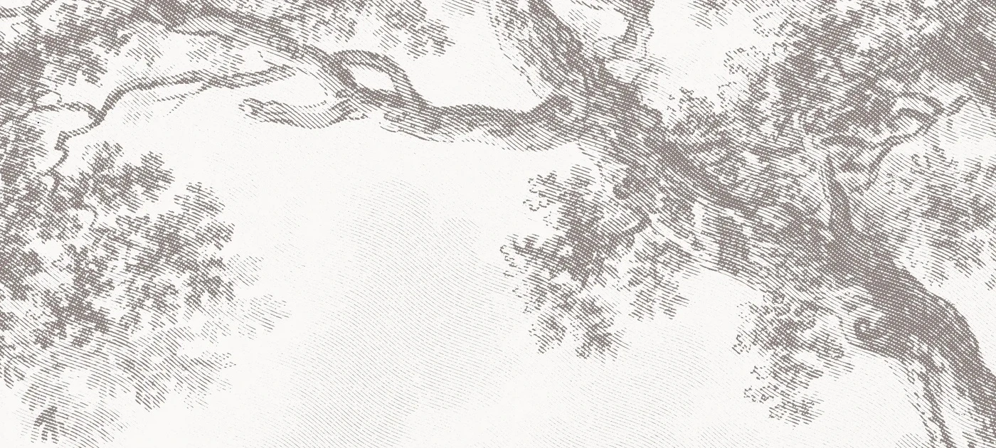 Арт-обои - пейзаж, черно-белые, деревья, серый лес, в спальню, красивый лес, природа, лес на стену, новинки