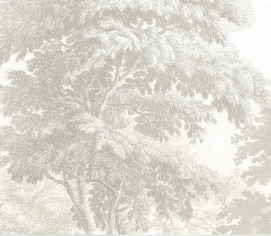 Арт-обои - пейзаж, лес, нежные, пастельные, итальянские, воздушные, современный дизайн, красивые, бежевые, хорошего качества, стильные, деревья, лес в тумане, новинки