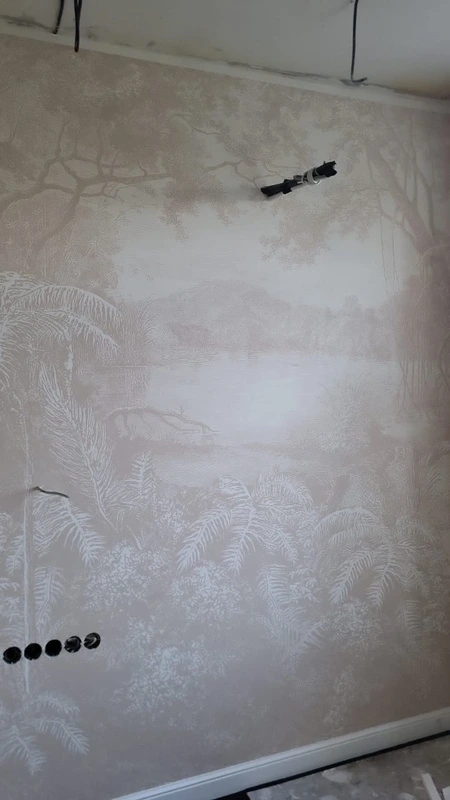 Фотообои в интерьере - наши работы, графика бежевая, парк, деревья, лес, река