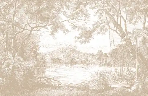 бежевые, графический пейзаж, с деревьями